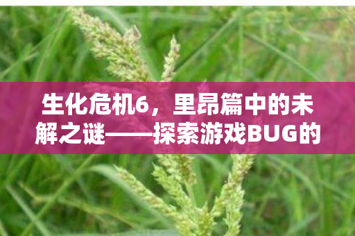 探索游戏BUG背后的深层含义与未解之谜图片