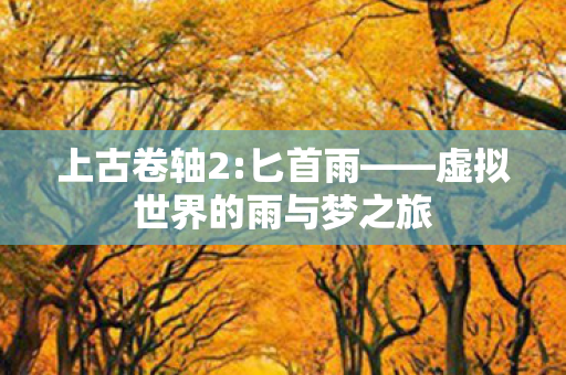虚拟世界的雨与梦之旅图片