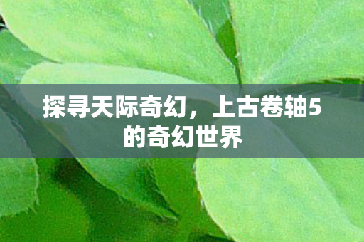 探寻天际奇幻，上古卷轴5的奇幻世界
