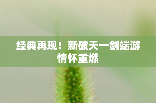新破天一剑端游情怀重燃图片