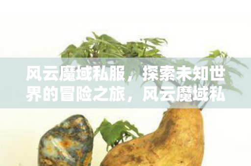 探索未知世界的冒险之旅图片