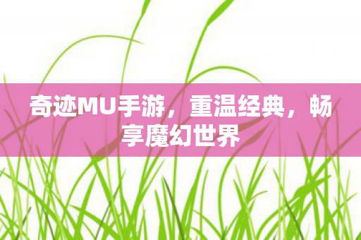 奇迹MU手游,重温经典,畅享魔幻世界 奇迹MU手游,重温经典,畅享魔幻世界