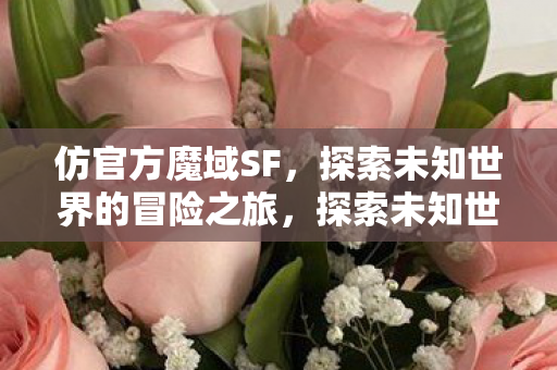 探索未知世界的冒险之旅图片