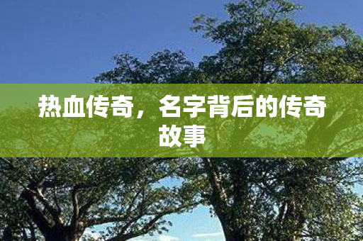 名字背后的传奇故事图片
