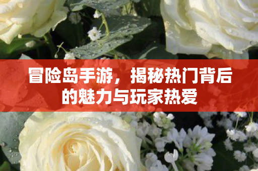 揭秘热门背后的魅力与玩家热爱图片