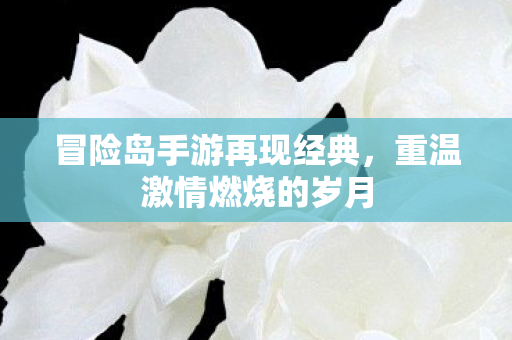 冒险岛手游再现经典图片