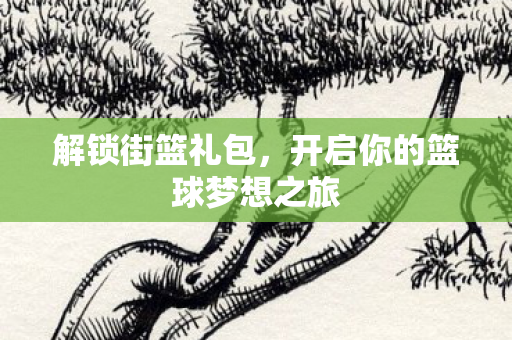 解锁街篮礼包,开启你的篮球梦想之旅 解锁街篮礼包,开启你的篮球梦想之旅