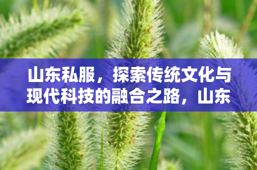 探索传统文化与现代科技的融合之路图片