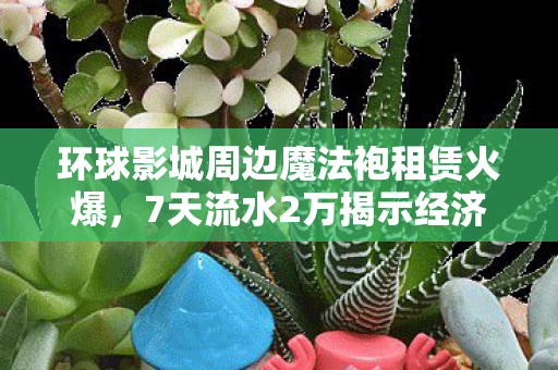 环球影城周边魔法袍租赁火爆图片