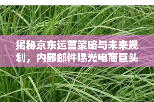 内部邮件曝光电商巨头发展蓝图图片