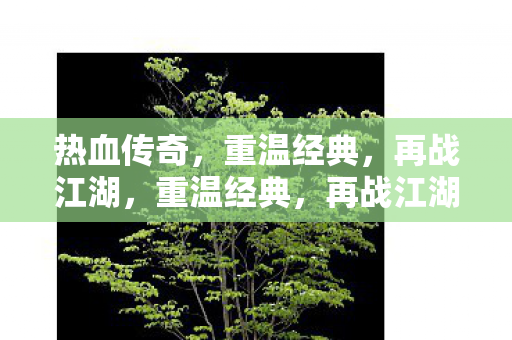 热血传奇图片