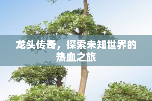 探索未知世界的热血之旅图片