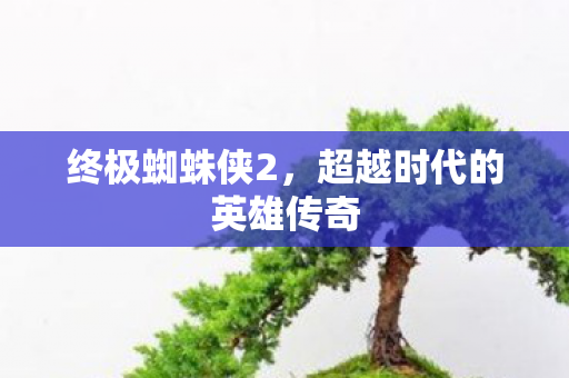 终极蜘蛛侠2,超越时代的英雄传奇 终极蜘蛛侠2,超越时代的英雄传奇