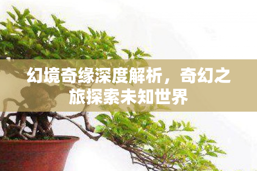 幻境奇缘深度解析,奇幻之旅探索未知世界 幻境奇缘深度解析,奇幻之旅探索未知世界