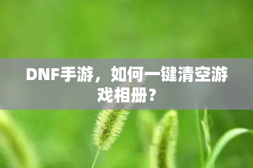 如何一键清空游戏相册图片