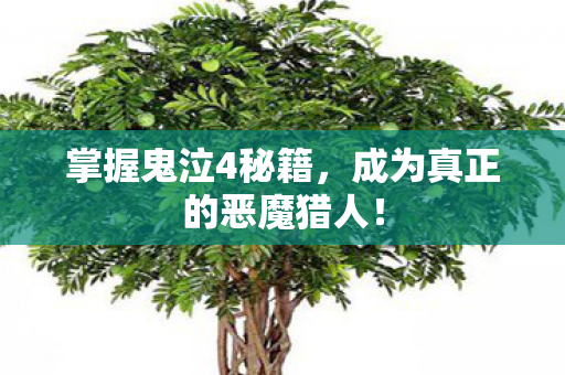 掌握鬼泣4秘籍,成为真正的恶魔猎人! 掌握鬼泣4秘籍,成为真正的恶魔猎人!