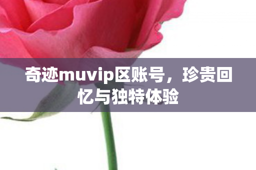 奇迹muvip区账号,珍贵回忆与独特体验 奇迹muvip区账号,珍贵回忆与独特体验
