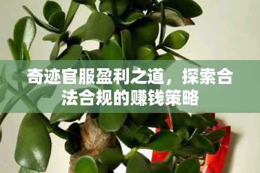 奇迹官服盈利之道,探索合法合规的赚钱策略 奇迹官服盈利之道,探索合法合规的赚钱策略