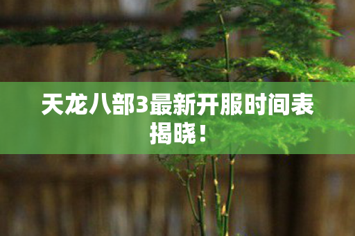 天龙八部3最新开服时间表揭晓! 天龙八部3最新开服时间表揭晓!