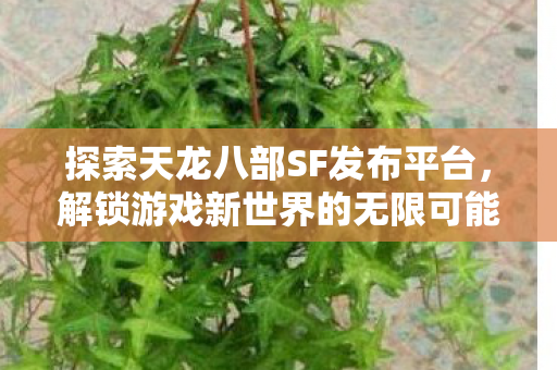 探索天龙八部SF发布平台,解锁游戏新世界的无限可能 探索天龙八部SF发布平台,解锁游戏新世界的无限可能