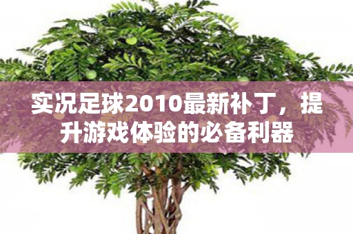实况足球2010最新补丁,提升游戏体验的必备利器 实况足球2010最新补丁,提升游戏体验的必备利器
