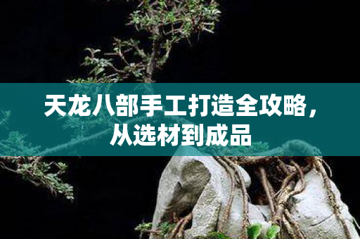 天龙八部手工打造全攻略,从选材到成品 天龙八部手工打造全攻略,从选材到成品