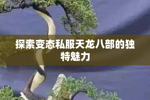 探索变态私服天龙八部的独特魅力 探索变态私服天龙八部的独特魅力