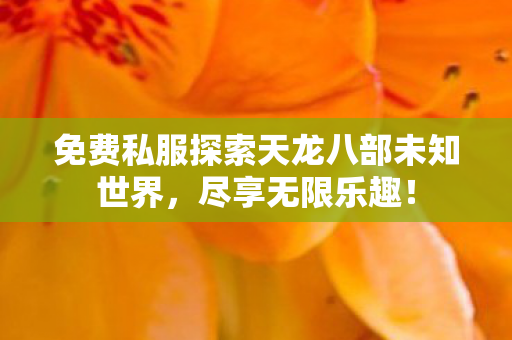 免费私服探索天龙八部未知世界,尽享无限乐趣! 免费私服探索天龙八部未知世界,尽享无限乐趣!