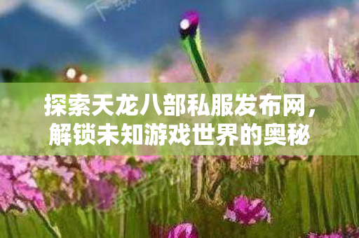 探索天龙八部私服发布网图片