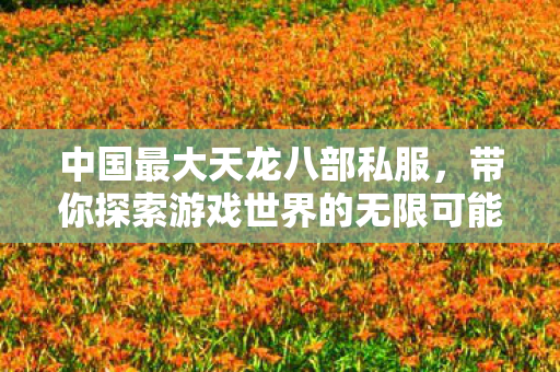 中国最大天龙八部私服,带你探索游戏世界的无限可能 中国最大天龙八部私服,带你探索游戏世界的无限可能