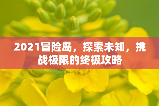 挑战极限的终极攻略图片