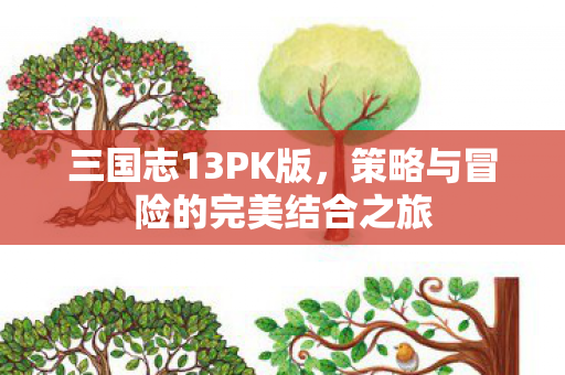 三国志13PK版,策略与冒险的完美结合之旅 三国志13PK版,策略与冒险的完美结合之旅