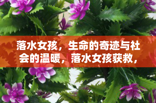 落水女孩,生命的奇迹与社会的温暖,落水女孩获救,生命的奇迹和社会的温暖 落水女孩,生命的奇迹与社会的温暖,落水女孩获救,生命的奇迹和社会的温暖