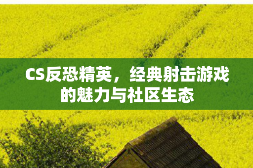 CS反恐精英，经典射击游戏的魅力与社区生态