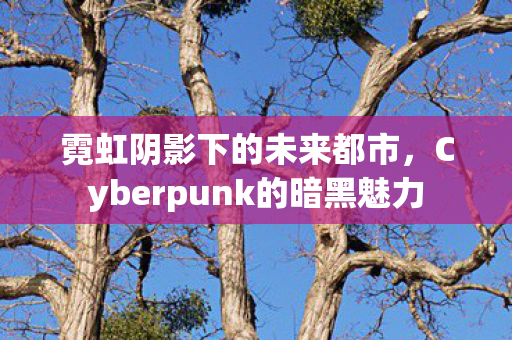 霓虹阴影下的未来都市,Cyberpunk的暗黑魅力 霓虹阴影下的未来都市,Cyberpunk的暗黑魅力