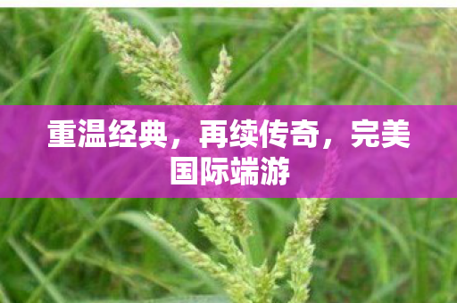 完美国际端游图片