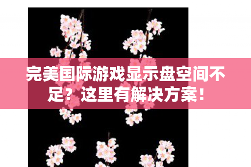 完美国际游戏显示盘空间不足图片