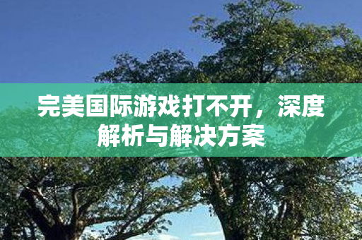 完美国际游戏打不开图片