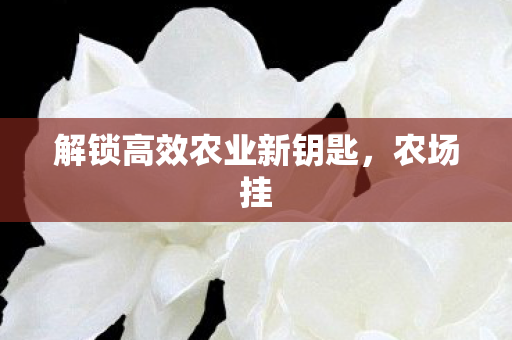 解锁高效农业新钥匙,农场挂 解锁高效农业新钥匙,农场挂