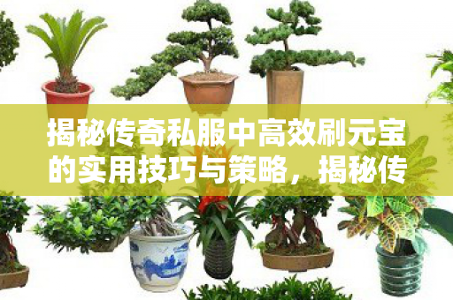 揭秘传奇私服中高效刷元宝的实用技巧与策略,揭秘传奇私服高效刷元宝技巧与策略 揭秘传奇私服中高效刷元宝的实用技巧与策略,揭秘传奇私服高效刷元宝技巧与策略