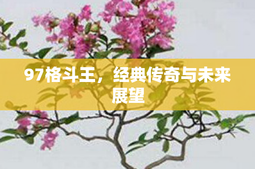 97格斗王,经典传奇与未来展望 97格斗王,经典传奇与未来展望