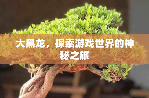 探索游戏世界的神秘之旅图片
