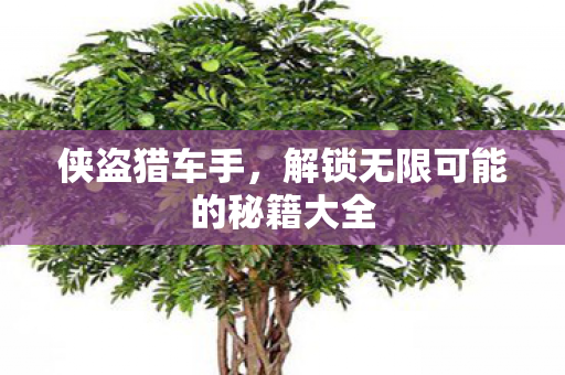 侠盗猎车手，解锁无限可能的秘籍大全