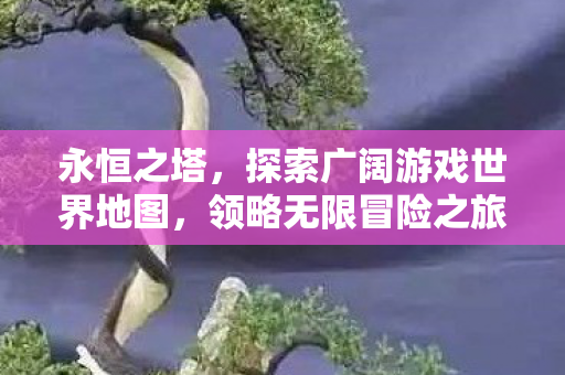 探索广阔游戏世界地图图片
