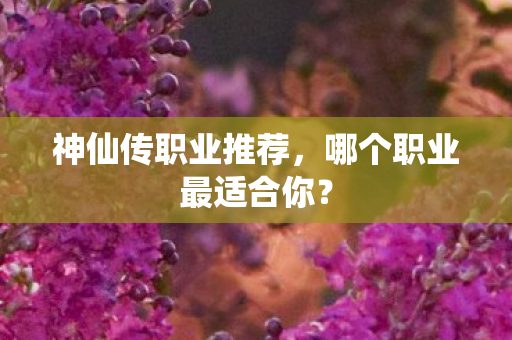 哪个职业最适合你图片