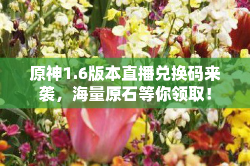 6版本直播兑换码来袭图片