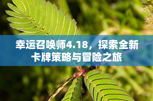 探索全新卡牌策略与冒险之旅图片