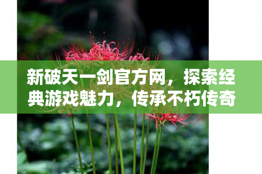 新破天一剑官方网图片