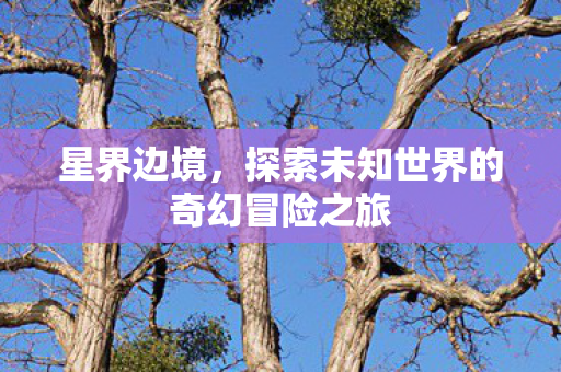 星界边境,探索未知世界的奇幻冒险之旅 星界边境,探索未知世界的奇幻冒险之旅