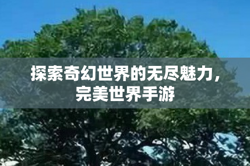 探索奇幻世界的无尽魅力,完美世界手游 探索奇幻世界的无尽魅力,完美世界手游